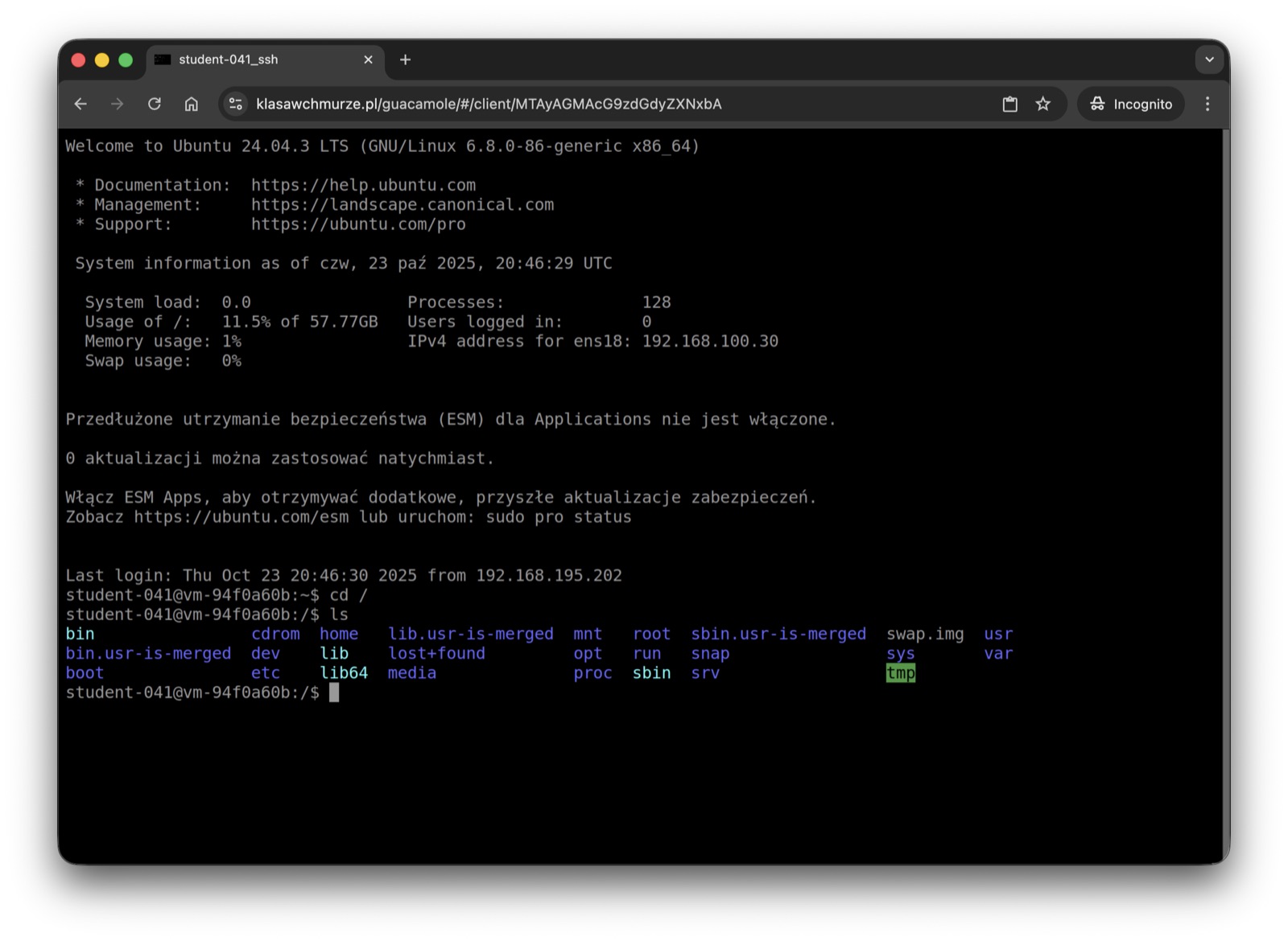 Terminal z połączeniem SSH